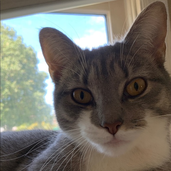 Meet your Posher, Barbara - Picture 1 of 1